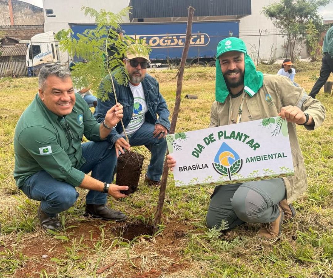 Secretaria do Meio Ambiente coloca o DF como referência em proteção ao bioma Cerrado
