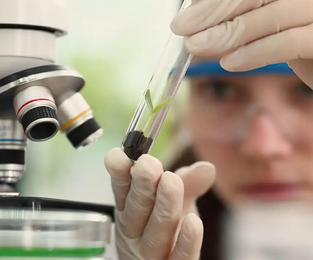 Observatório Nacional lança edital do Programa Meninas Cientistas