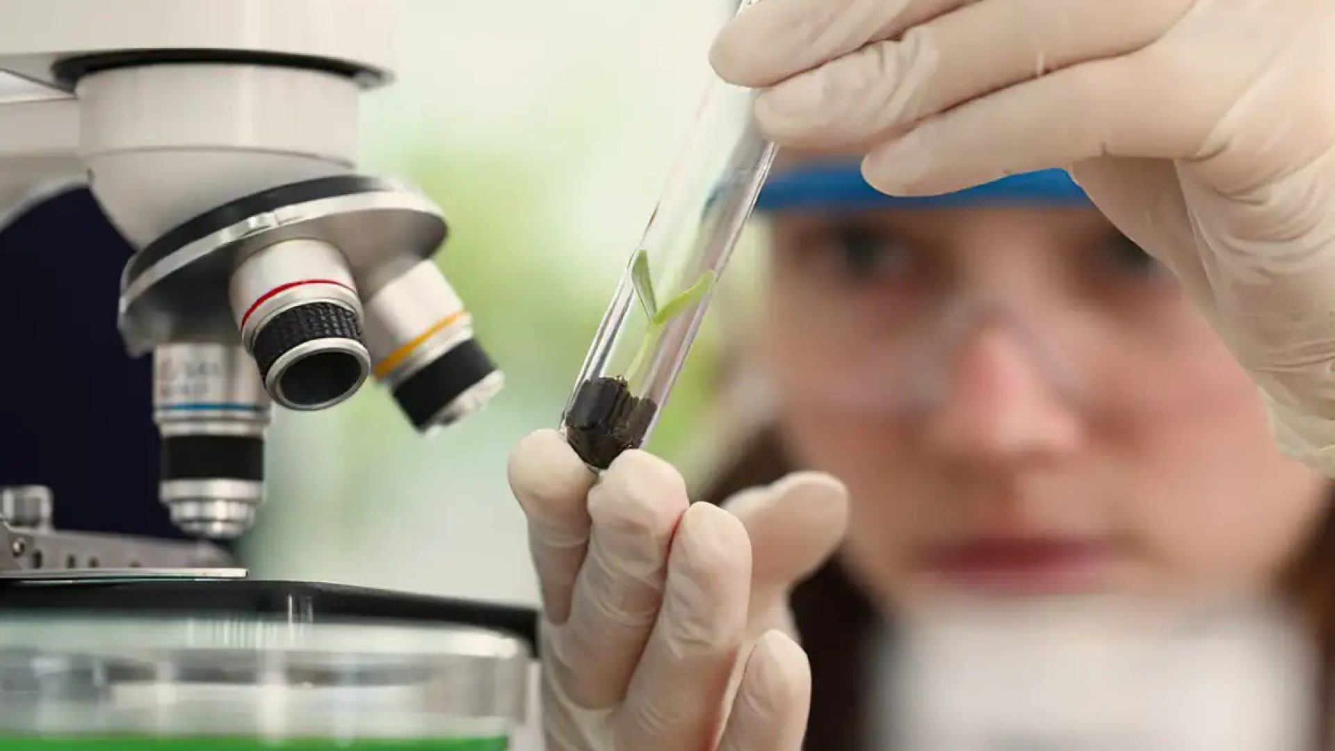 Observatório Nacional lança edital do Programa Meninas Cientistas