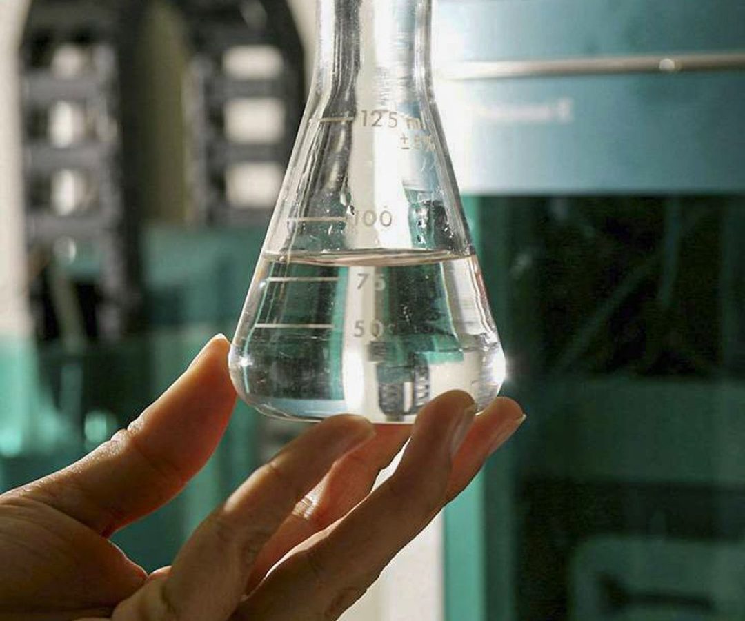 Bares e fabricantes treinam empresas para identificar bebidas falsas
