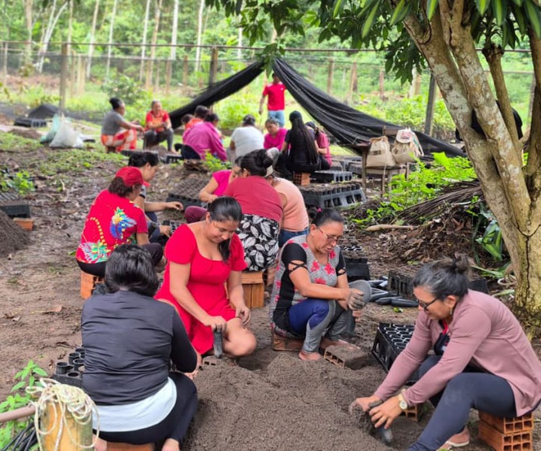 Mulheres da Amazônia se unem para enfrentar as mudanças climáticas