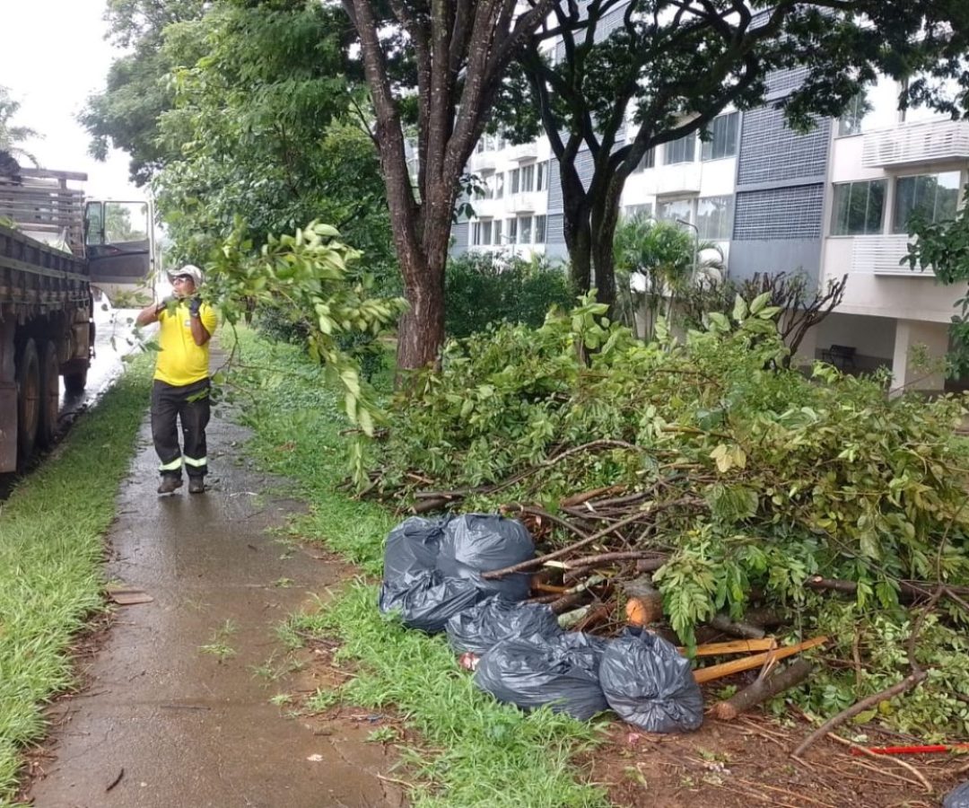 “Caça-sujões”: GDF estuda a criação de projeto que recompensa cidadãos que denunciarem descartes de lixo 