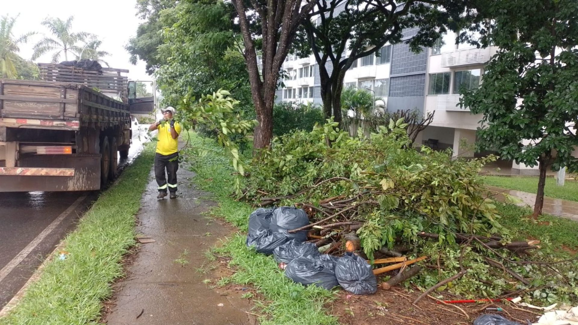 “Caça-sujões”: GDF estuda a criação de projeto que recompensa cidadãos que denunciarem descartes de lixo 