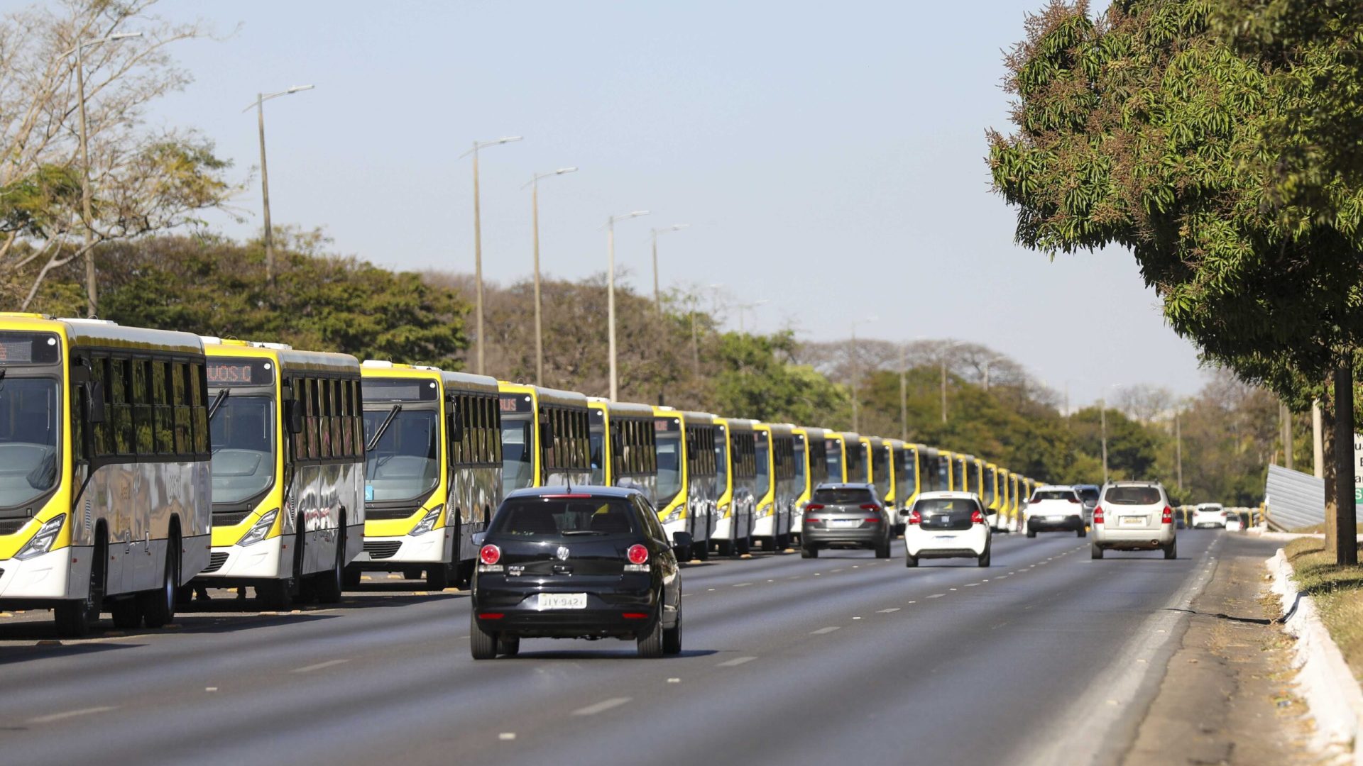 DF terá transporte público coletivo de graça neste fim de semana