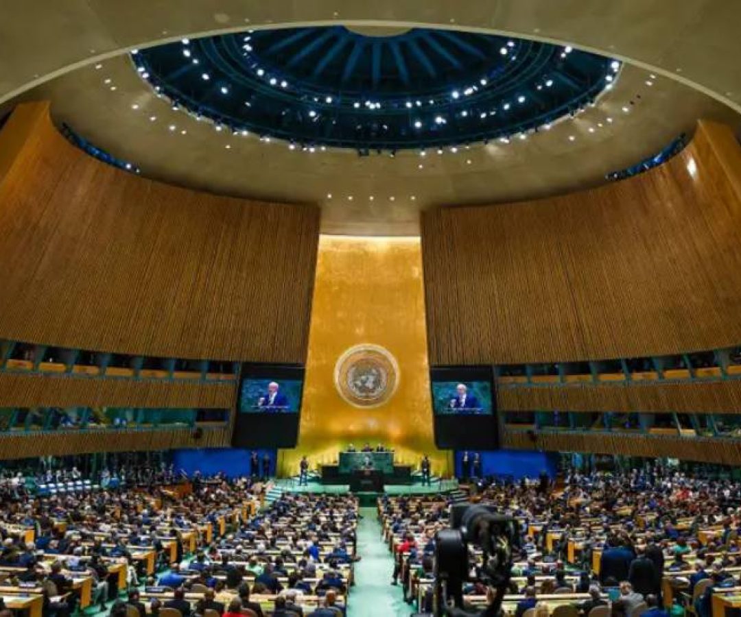 onu-4.jpg