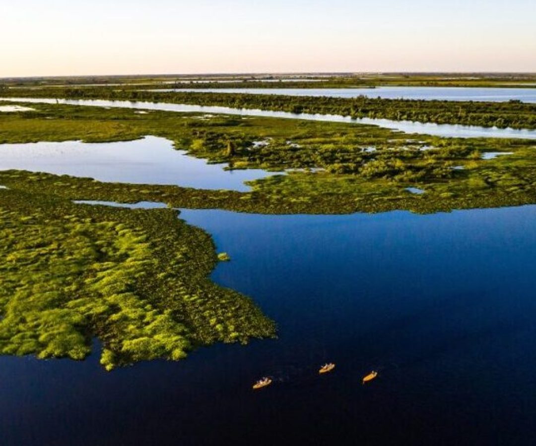 projetos no Senado reforçam agenda climática — Senado Notícias