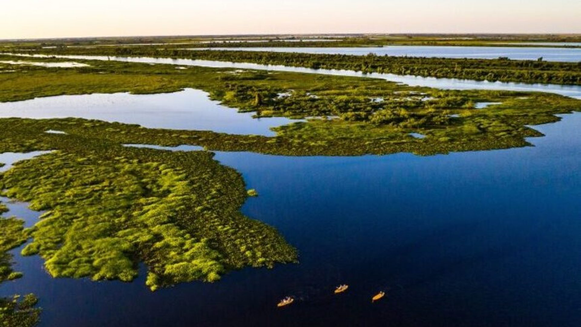 projetos no Senado reforçam agenda climática — Senado Notícias
