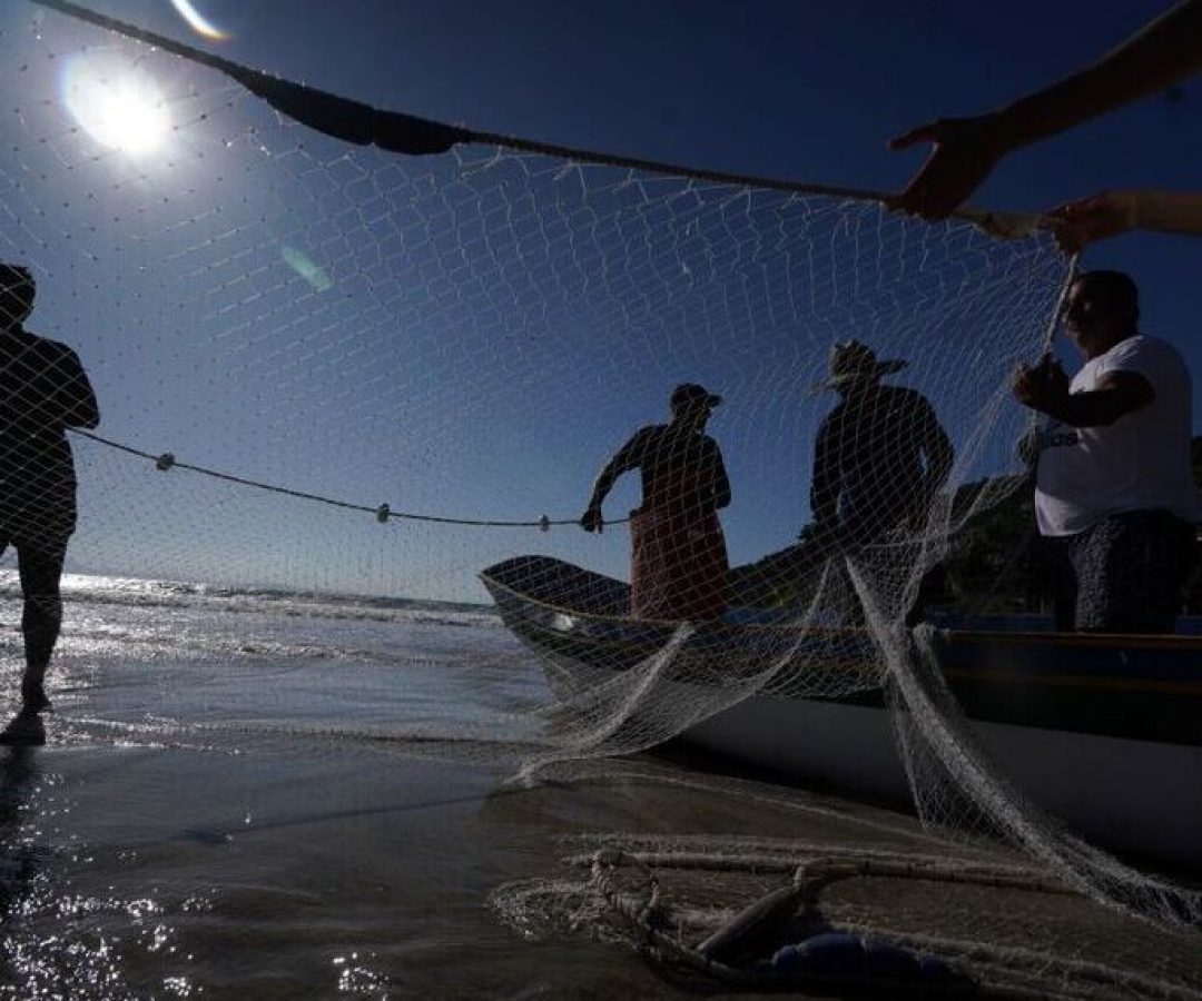 Senado avalia prevenção para pescadores e trabalhadores rurais — Senado Notícias