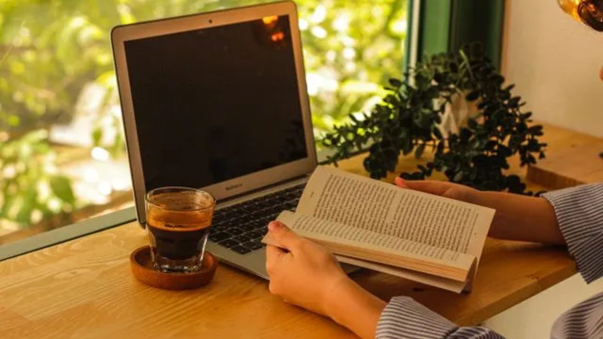 Curso online de Inclusão social e profissional de pessoas com deficiência intelectual ou transtorno do espectro autista abre vagas gratuitas