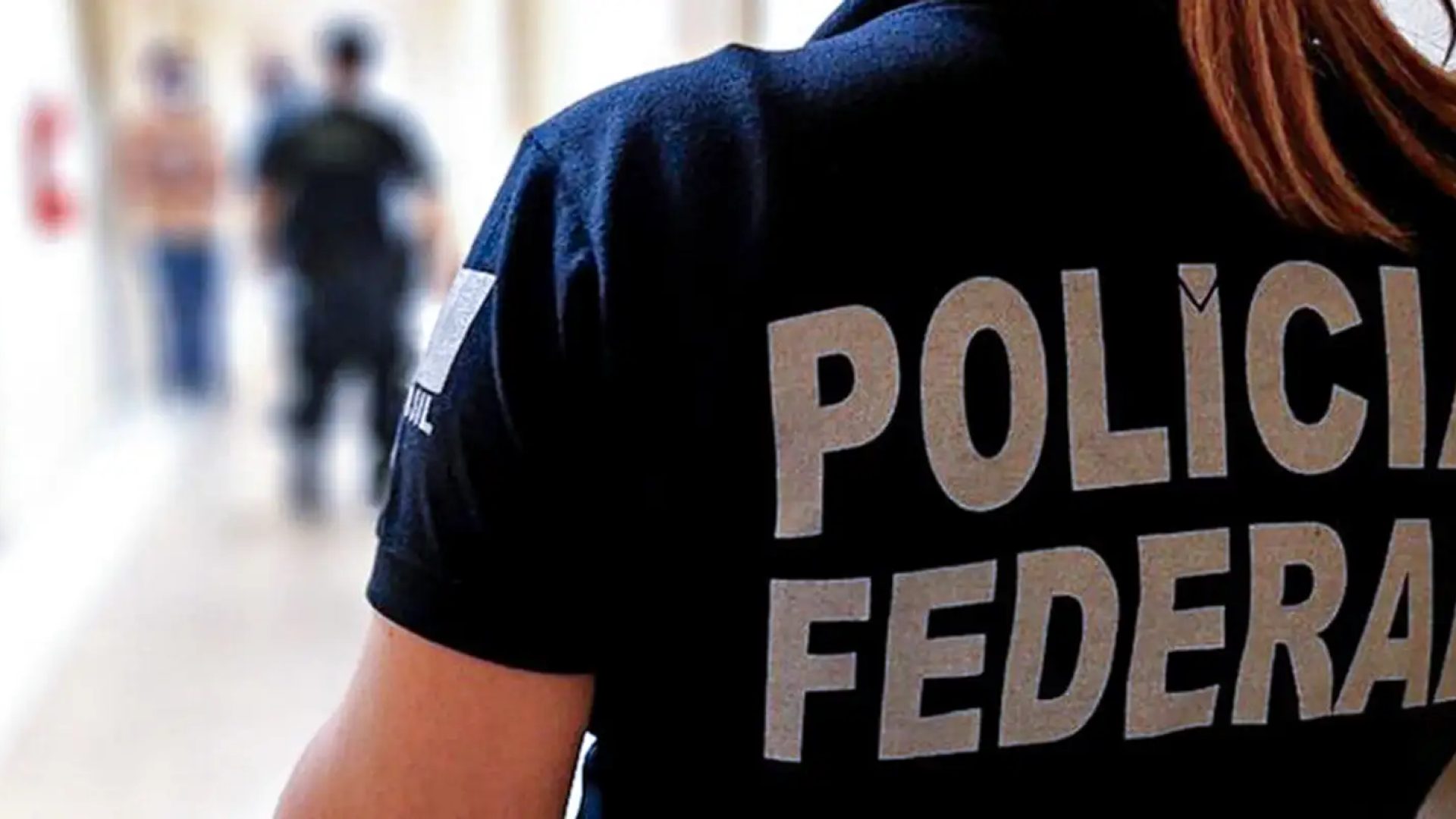 PF faz operação contra fraudes no registro de armas de colecionadores