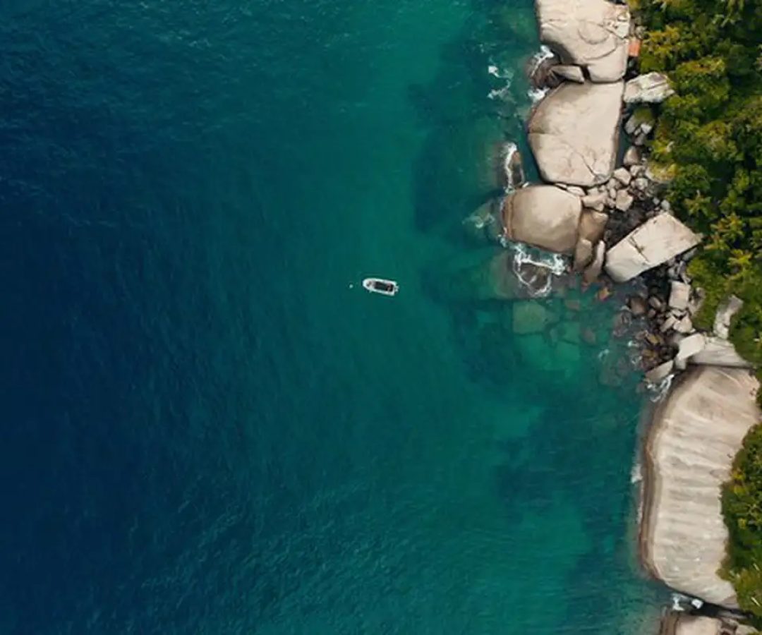 TV Brasil exibe documentário com iniciativas de preservação da costa