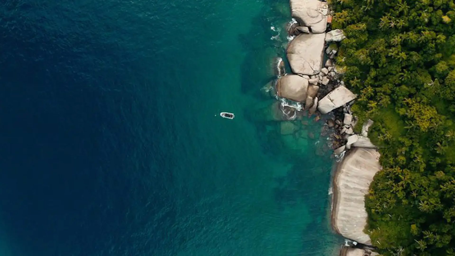 TV Brasil exibe documentário com iniciativas de preservação da costa