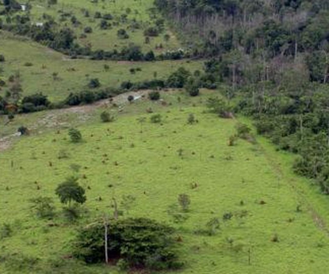 Governo prorroga prazo para georreferenciamento de imóveis rurais