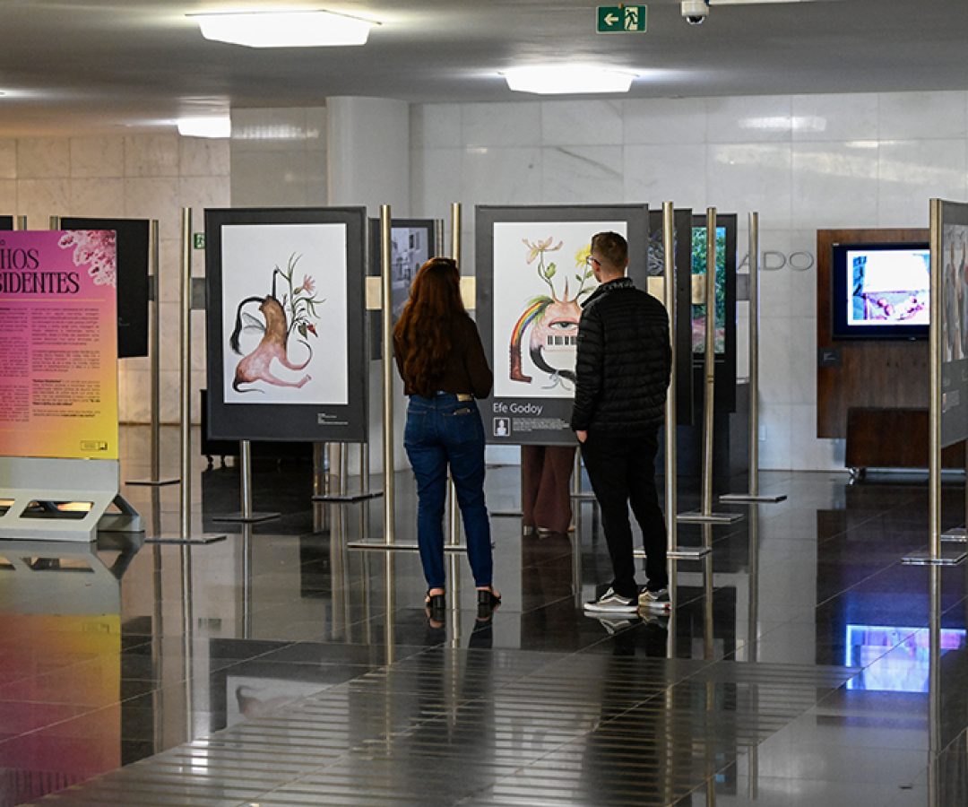 Obras da artista Efe Godoy.