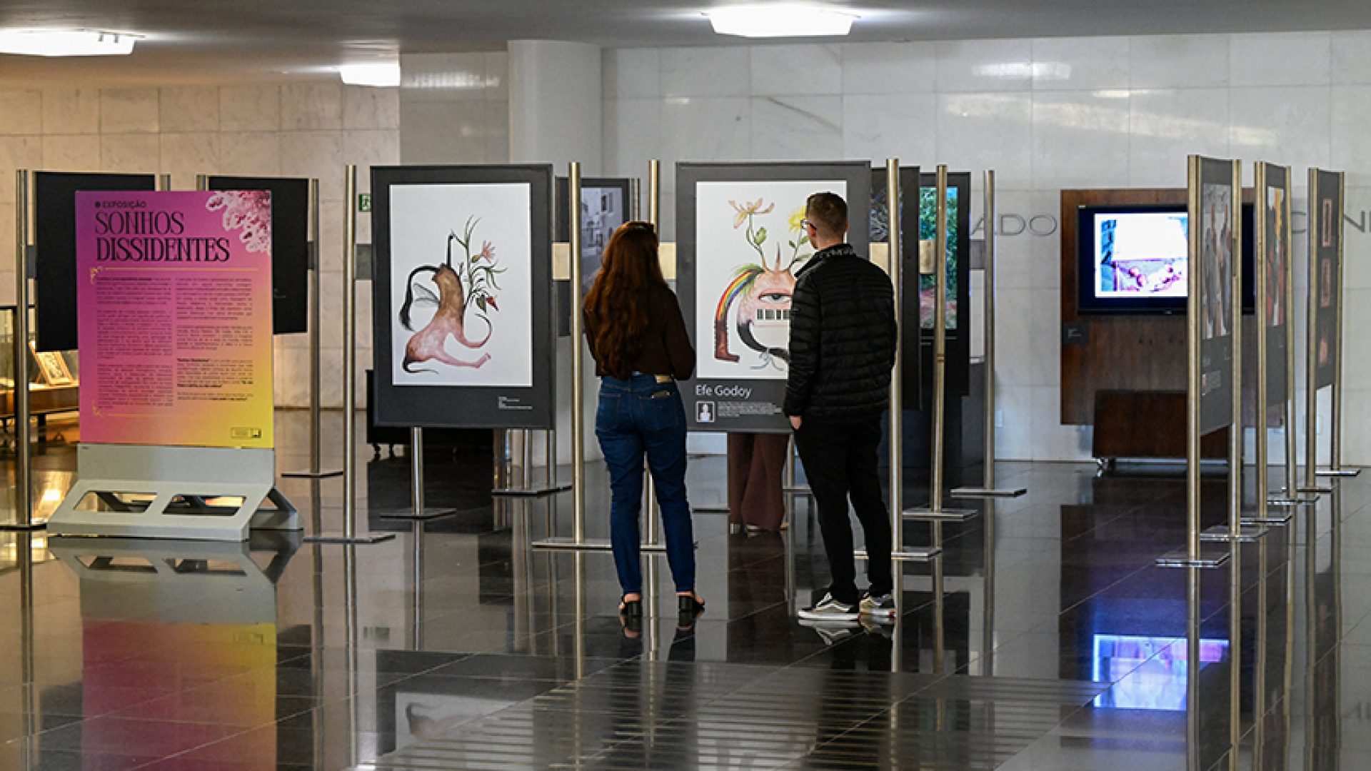Obras da artista Efe Godoy.