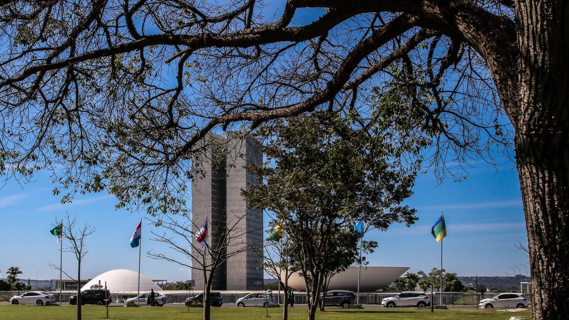 Congresso aumenta punição a crimes sexuais online contra crianças