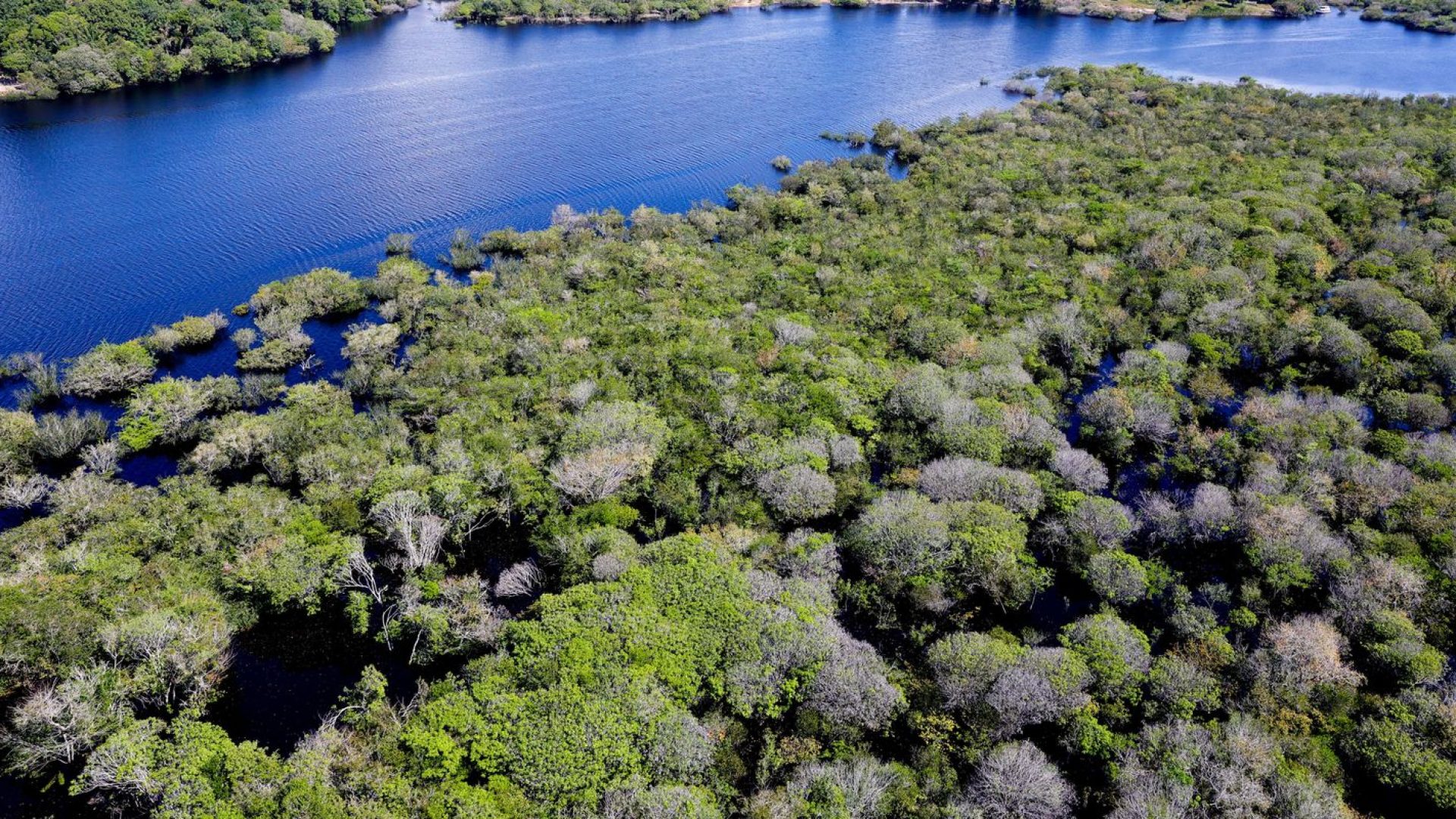Governo lança edital para combate ao desmatamento na Amazônia