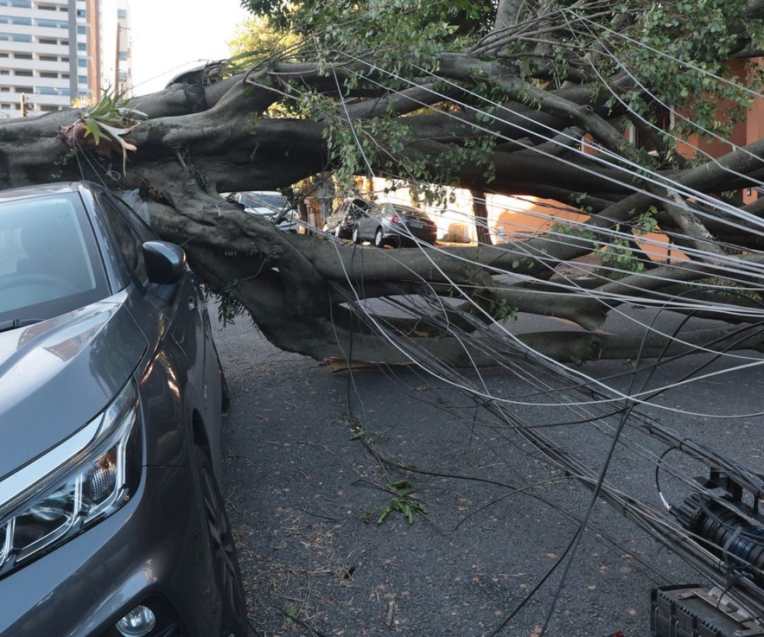 Comércio perde mais de R$ 50 milhões com falta de energia em São Paulo
