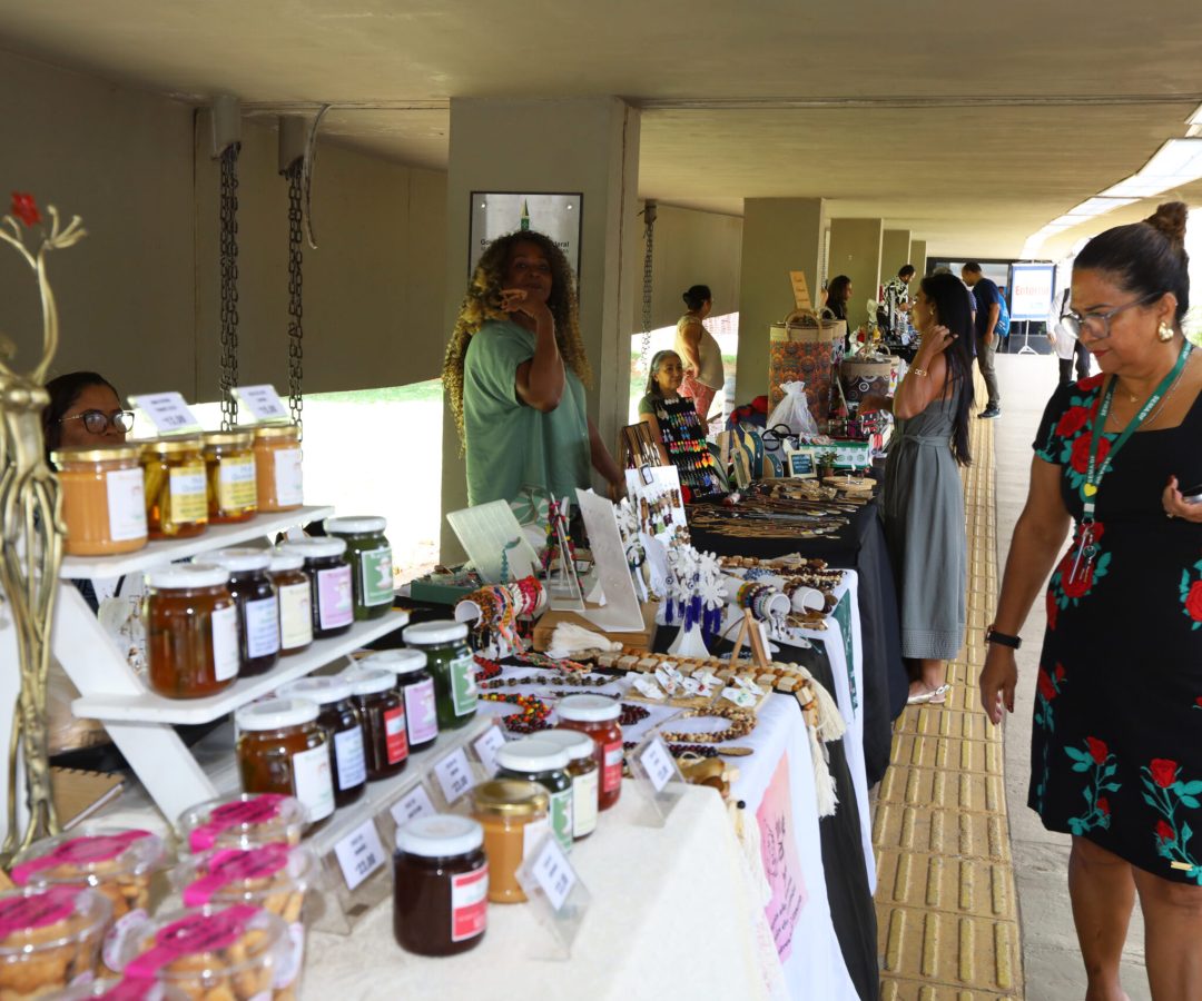 Feira Raízes do Entorno celebra Dia da Mulher e impulsiona artesãs da Ride