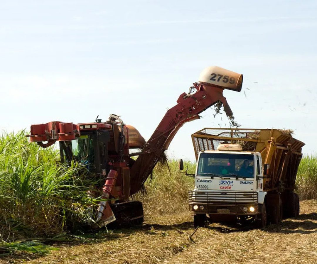 MP prevê incentivo financeiro a produtores de cana do Nordeste — Senado Notícias