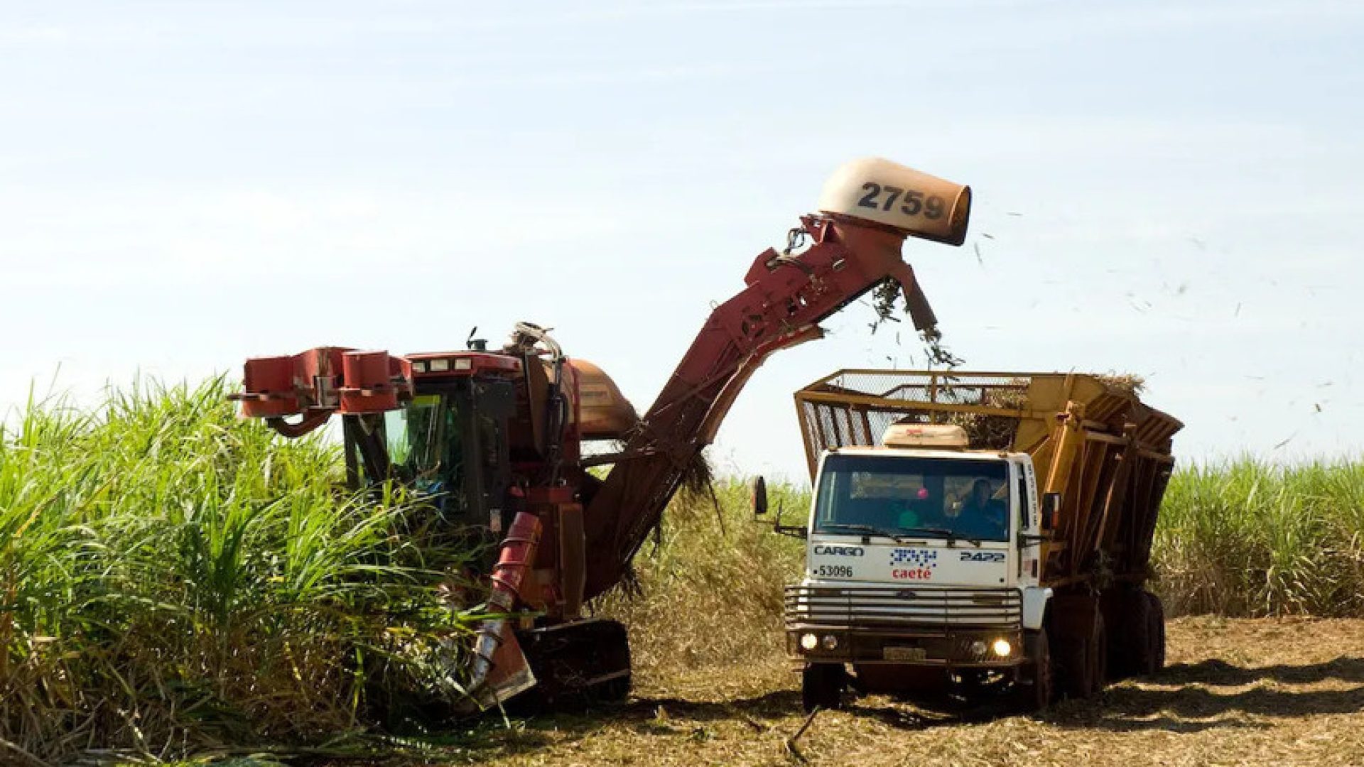 MP prevê incentivo financeiro a produtores de cana do Nordeste — Senado Notícias