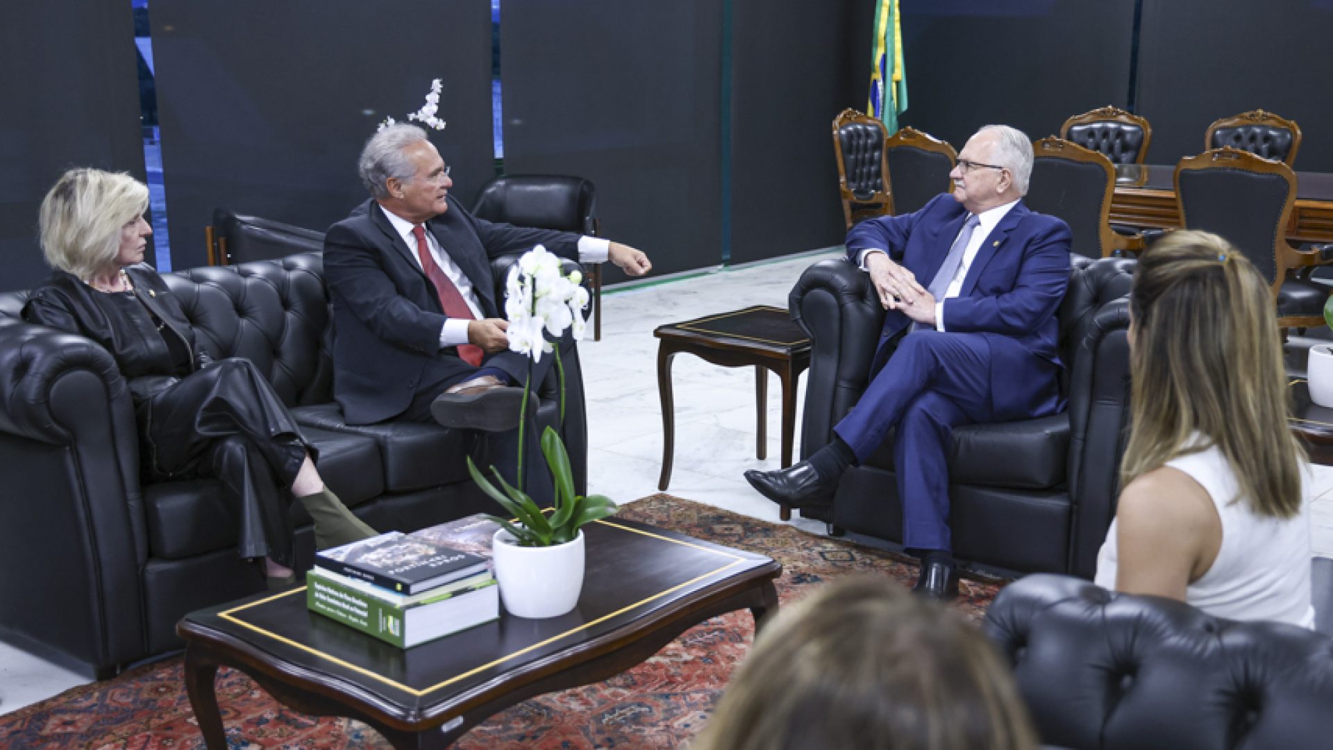 Renan Calheiros defende acesso irrestrito da CAE às investigações sobre o Master — Senado Notícias