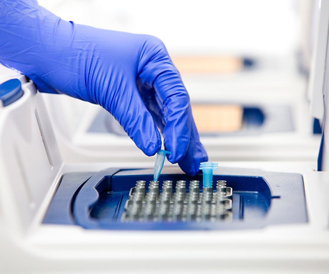 Lei exige coleta de DNA de condenado a pena em regime inicial fechado — Senado Notícias