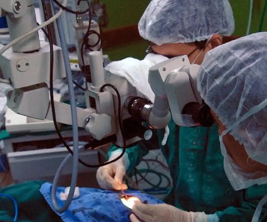 Risco cardíaco dobra para pacientes com doença de Chagas após cirurgia