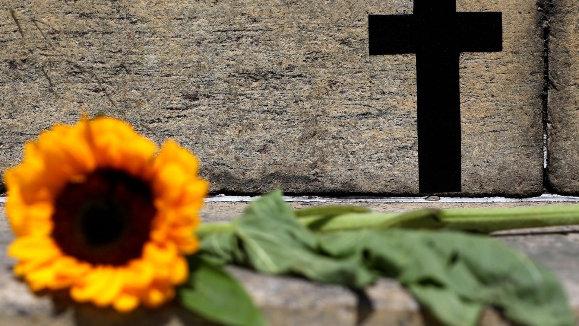 SP: feminicídio aumenta 41%; violação de medida protetiva sobe 31,9%