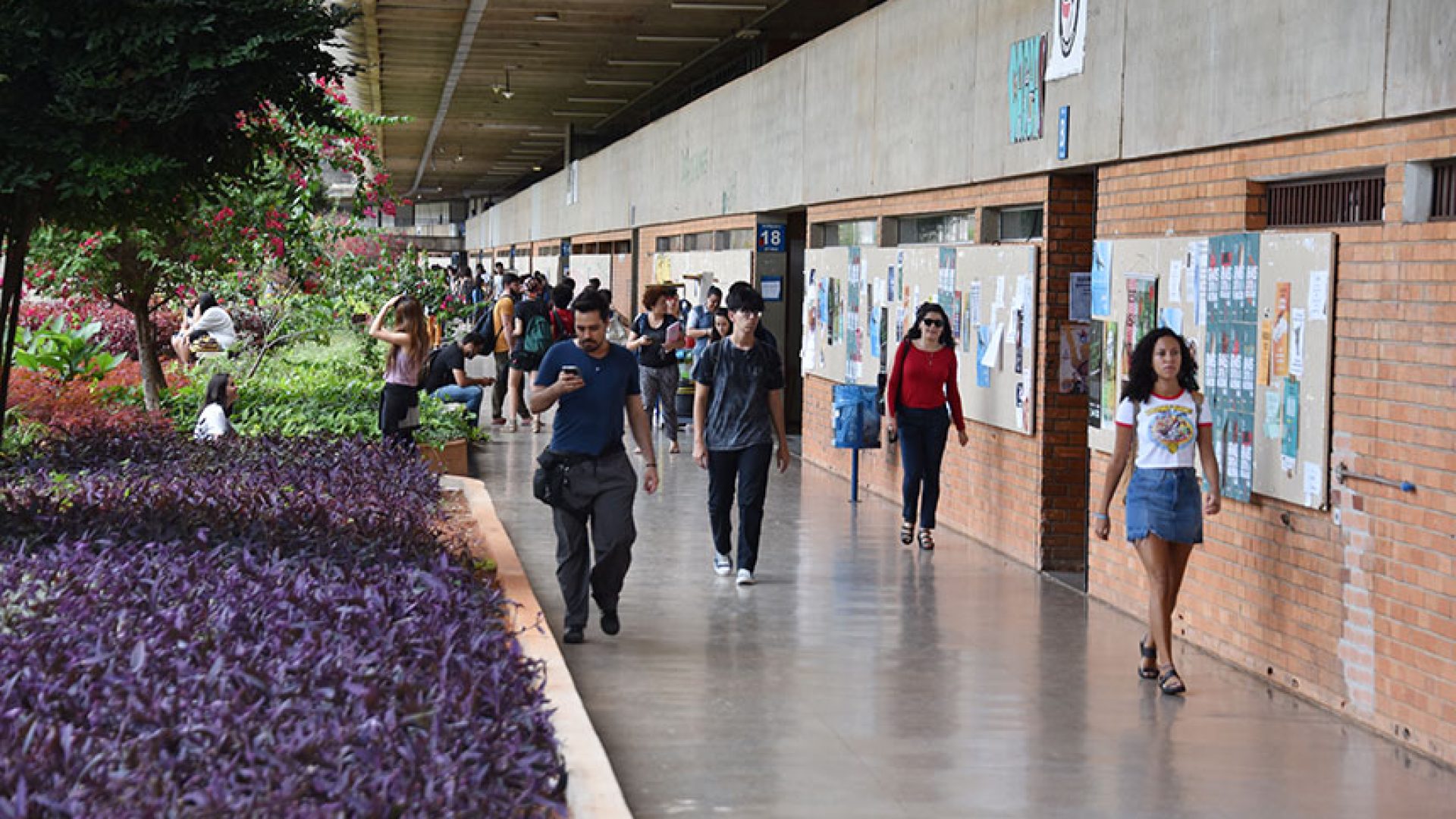 Gestão das universidades públicas terá debate na CCT — Senado Notícias
