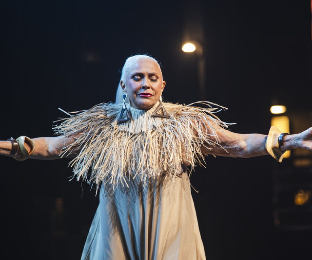 ‘Não existe Amazônia sem nós’, diz Fafá de Belém sobre COP30