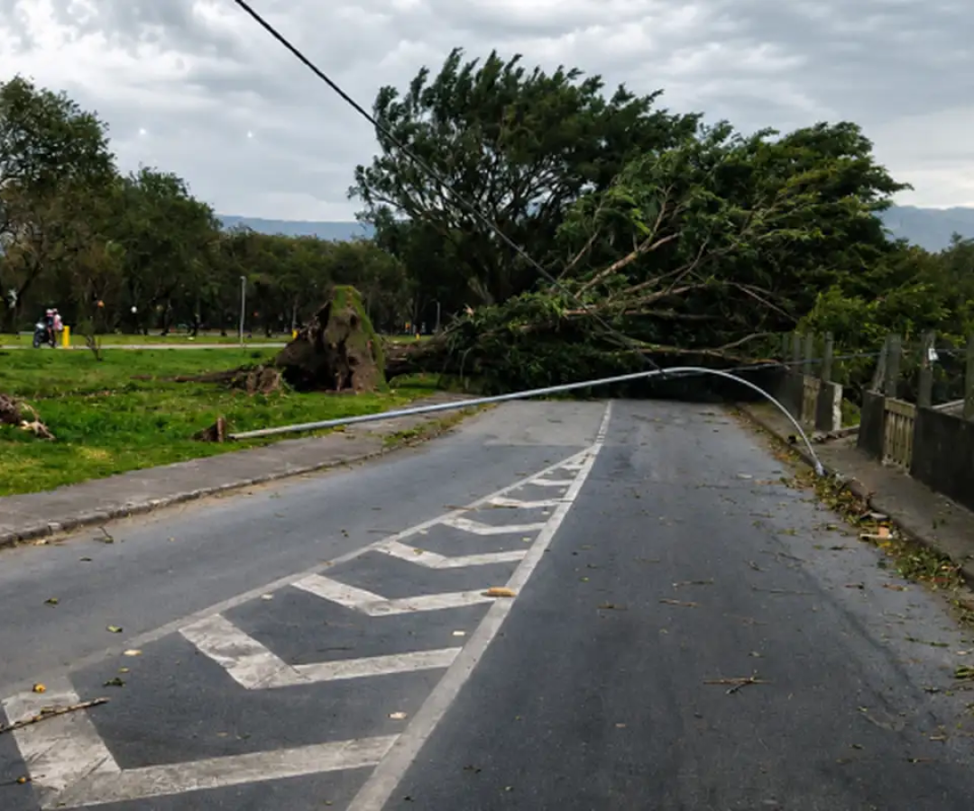 SP: ventania pode atingir 50 km/h no fim de semana