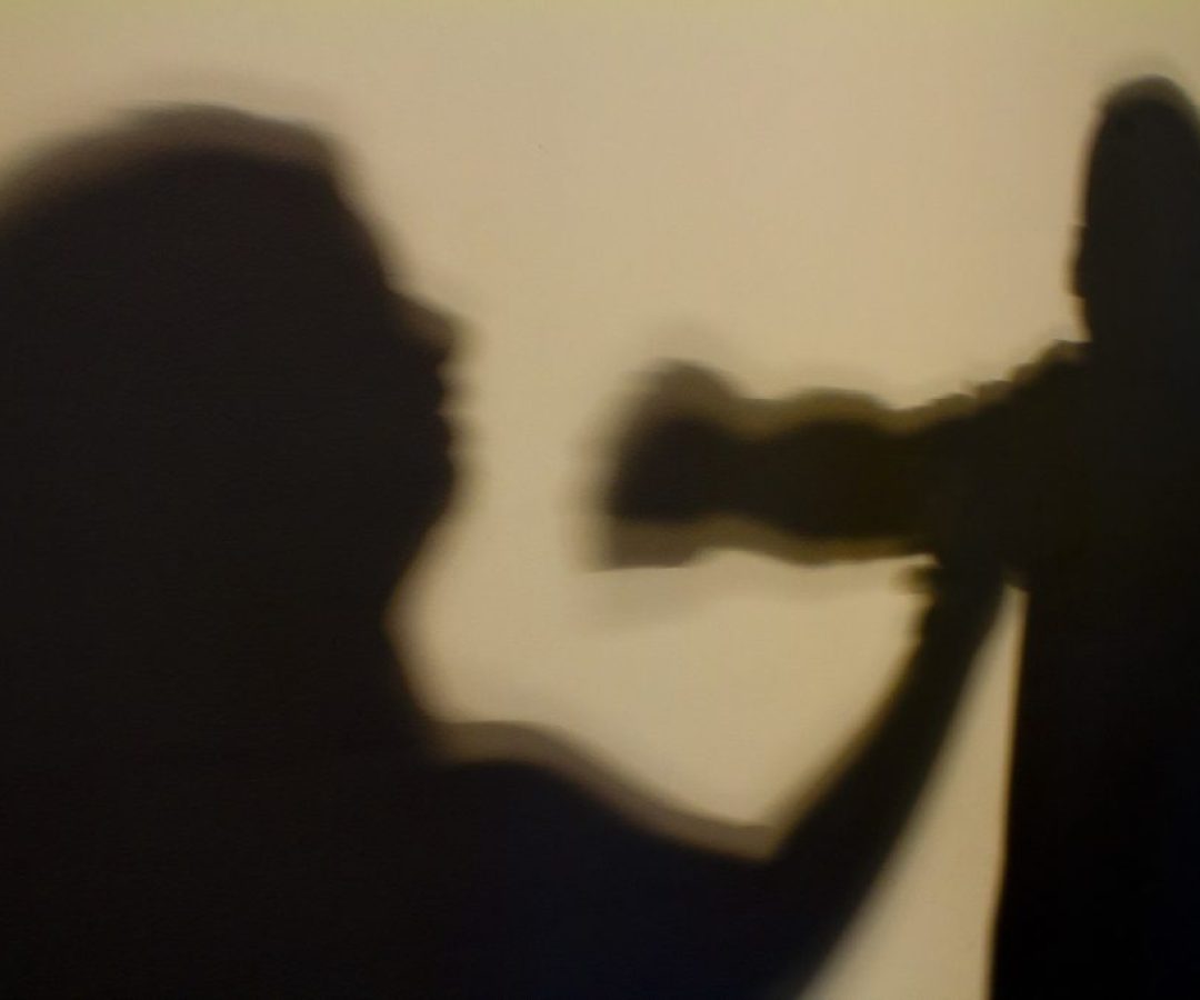 Programa Viva Flor protege mais de 1.800 mulheres contra violência no DF