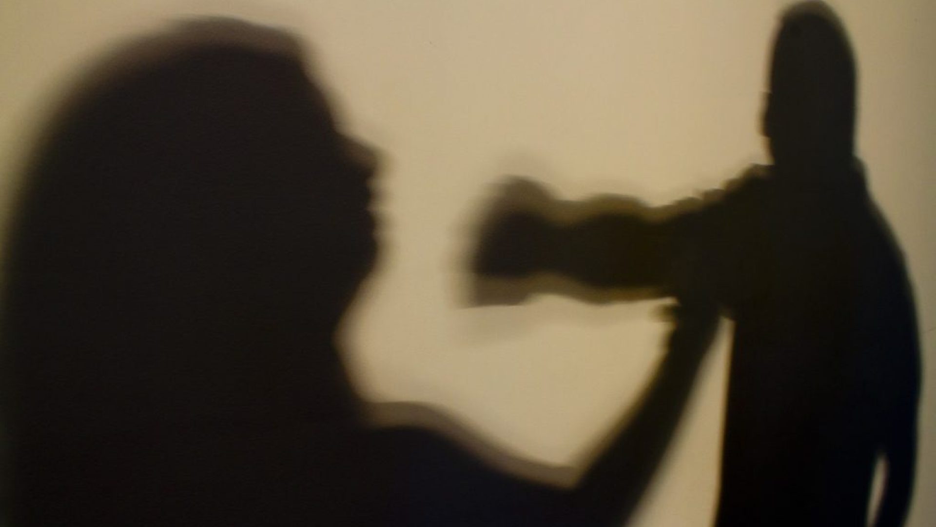 Programa Viva Flor protege mais de 1.800 mulheres contra violência no DF