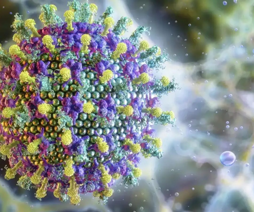 Ministério da Saúde diz que vírus Nipah não ameaça o Brasil