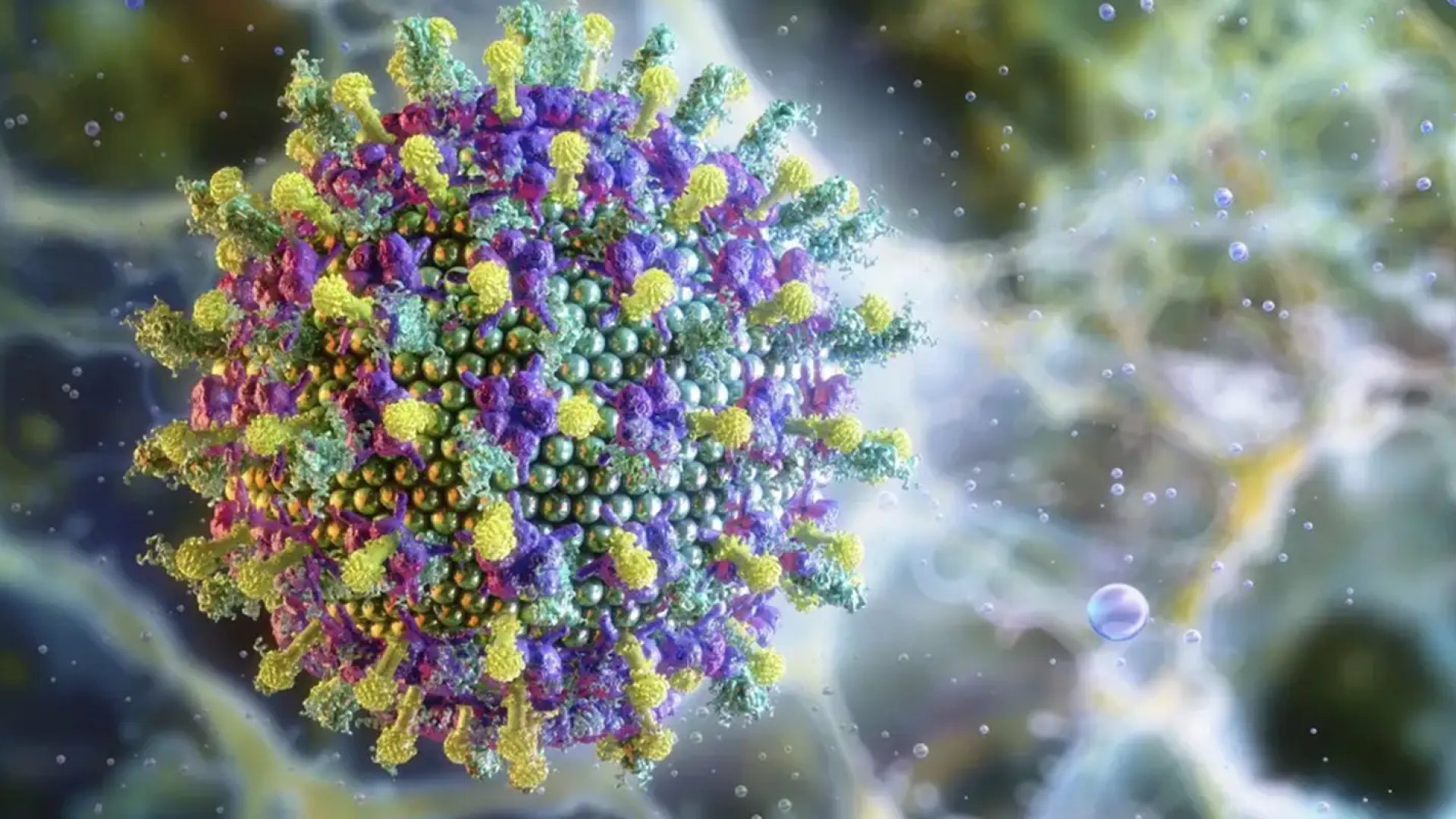 Ministério da Saúde diz que vírus Nipah não ameaça o Brasil