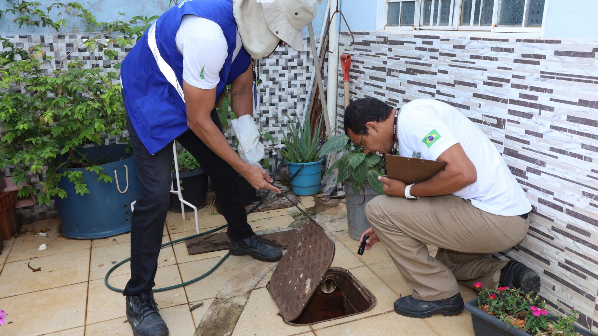 Moradores do DF podem solicitar visitas para controle de pragas