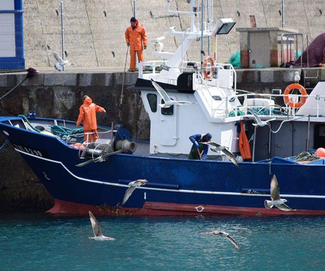Projeto facilita habilitação de aquaviário para pescadores — Senado Notícias