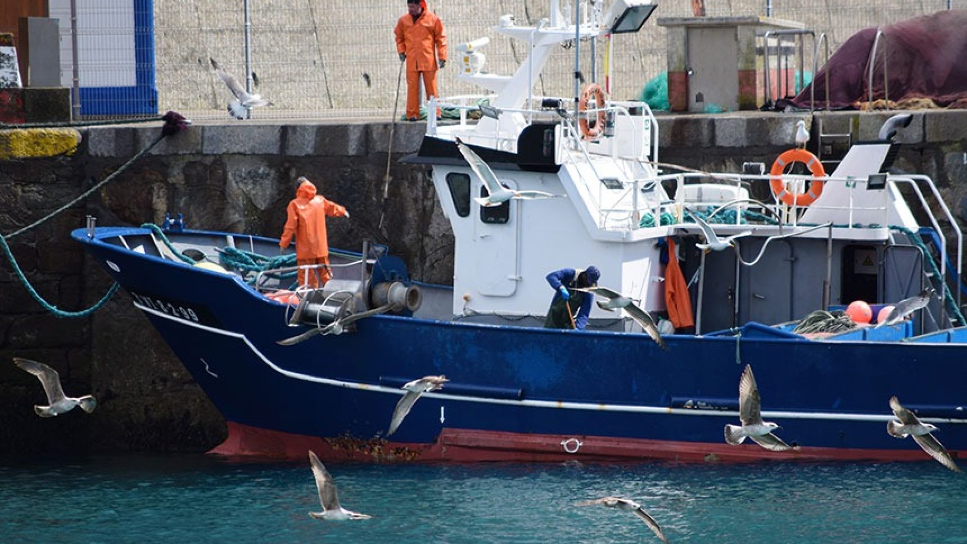 Projeto facilita habilitação de aquaviário para pescadores — Senado Notícias